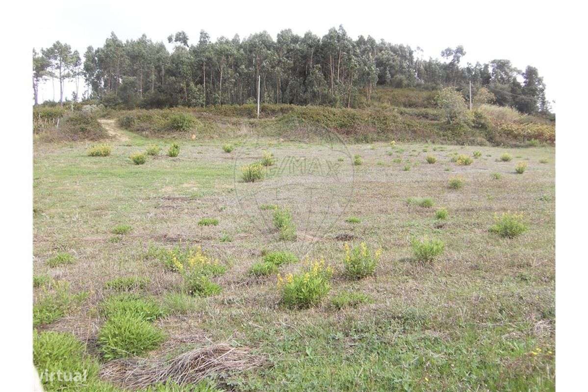 Terreno  para venda - Grande imagem: 4/7