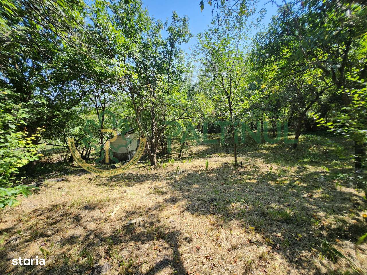 Casă Nucet, 864 mp teren cu pomi fructiferi – la 21 km de Sibiu - Imagine principală: 3/11