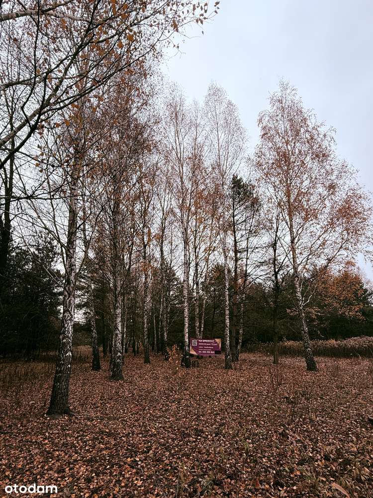 Działka na sprzedaż 1522 m² w spokojnej okolicy-7