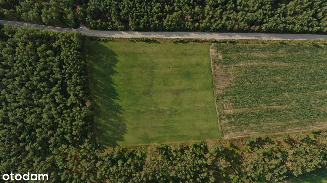 Działki pod lasem – Twój dom na Kaszubach - Pełny obrazek: 4/6