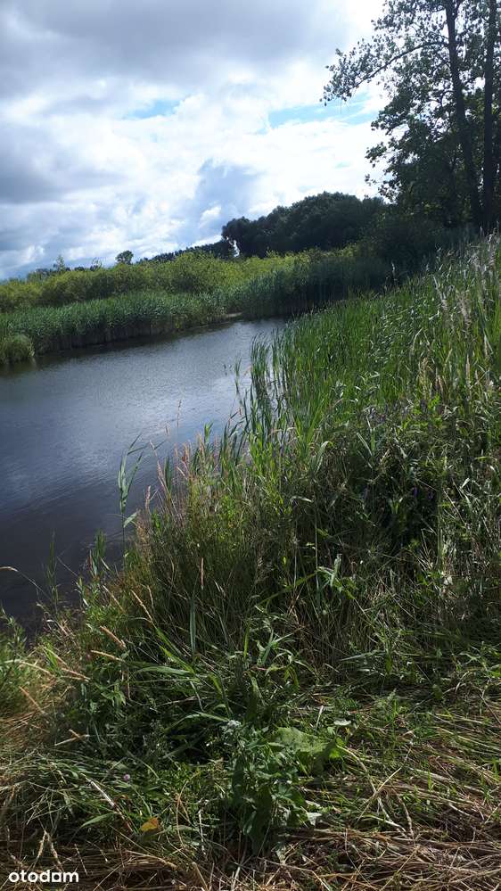 Działka rolna na sprzedaż, świetna lokalizacja!-5