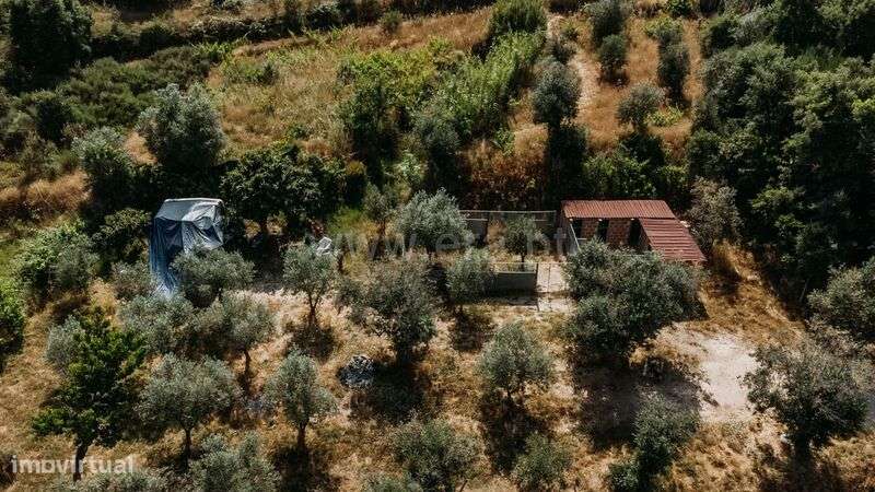 Quintinha T1 / Fundão, Telhado - Grande imagem: 4/11