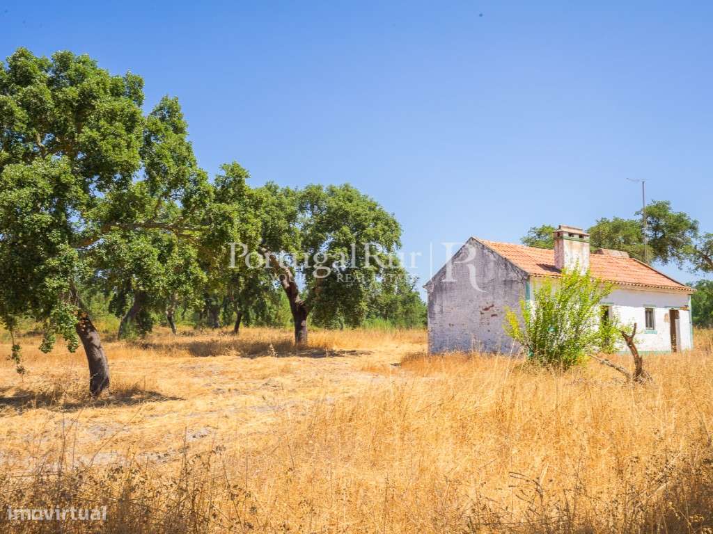 Quinta de 20ha com projeto para Turismo Rural a 1h de Lisboa-27