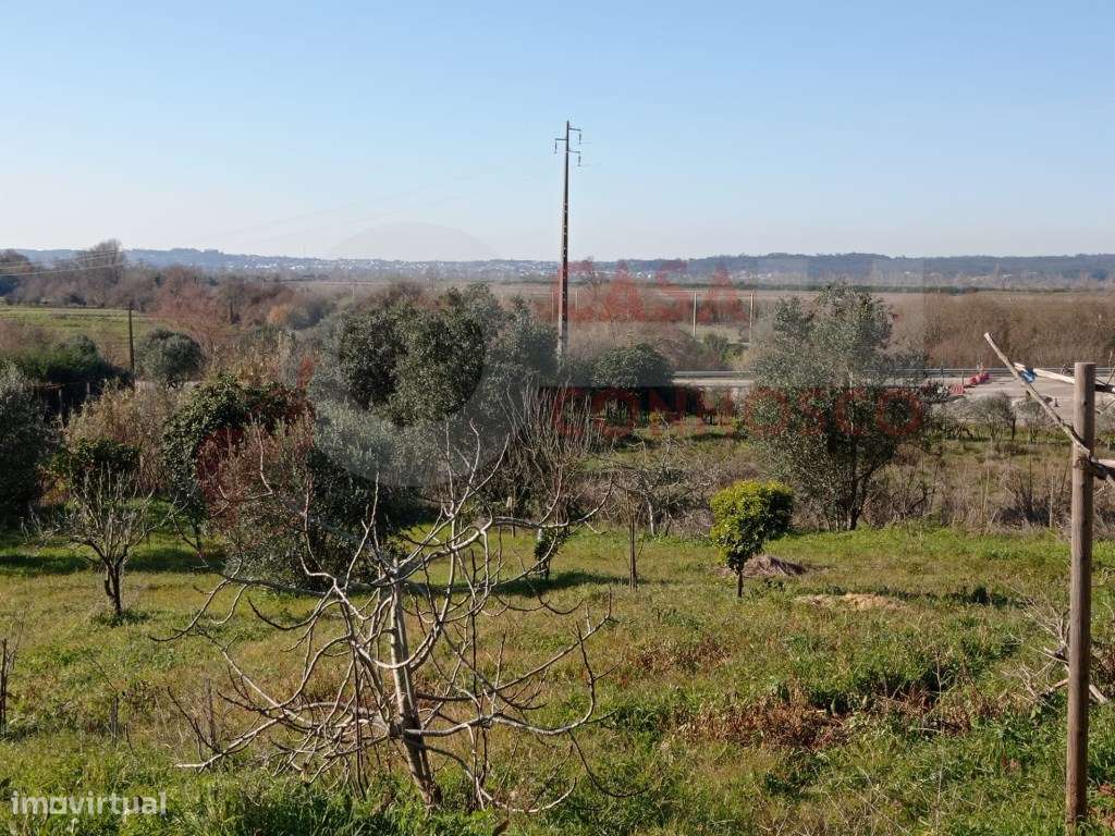 Terreno para construção - Grande imagem: 2/6