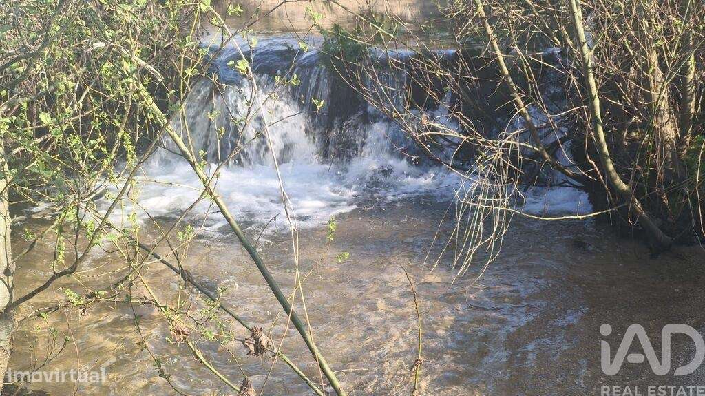 Terreno Agrícola em Seixo da Beira - Grande imagem: 2/24