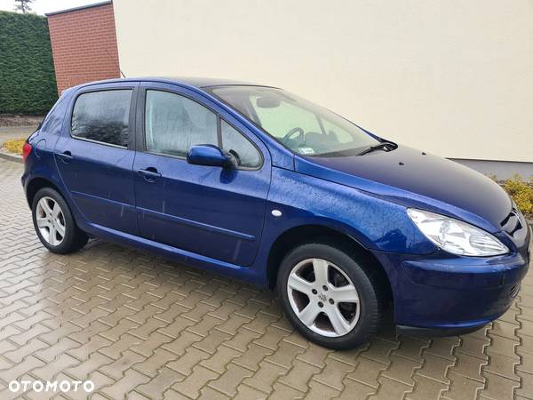 Peugeot 307 1.6 - 11