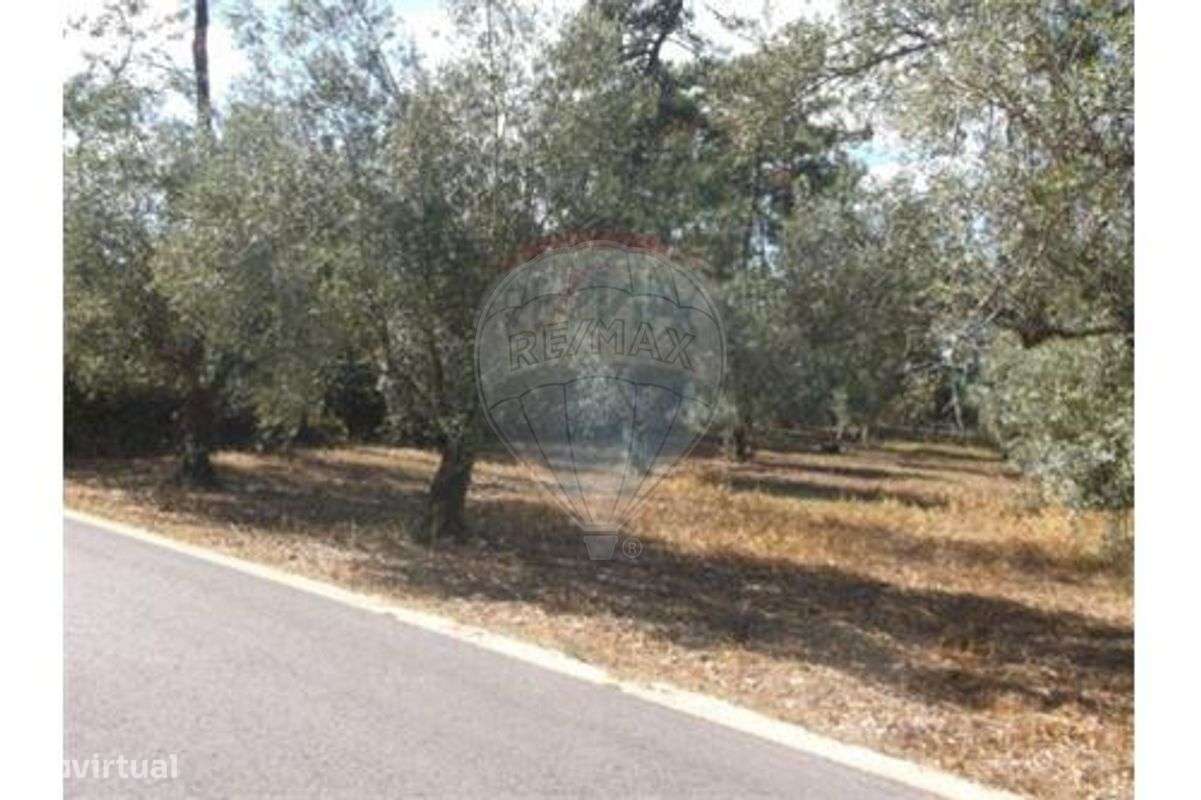 Terreno T0 para venda - Grande imagem: 2/4