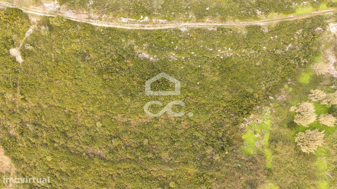 Terreno Misto com Vista Mar e Serra-7