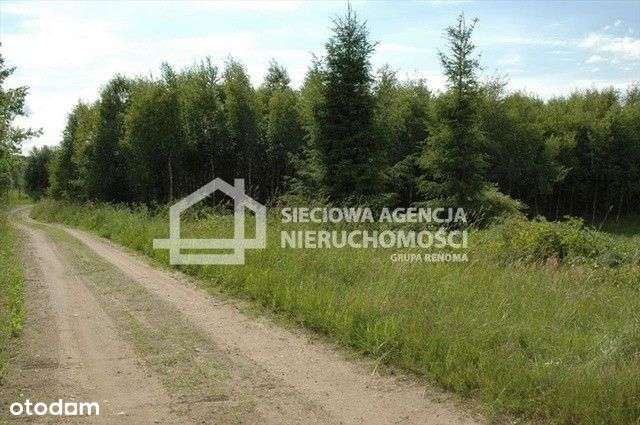 działka siedliskowa Bukowina - Pełny obrazek: 5/8