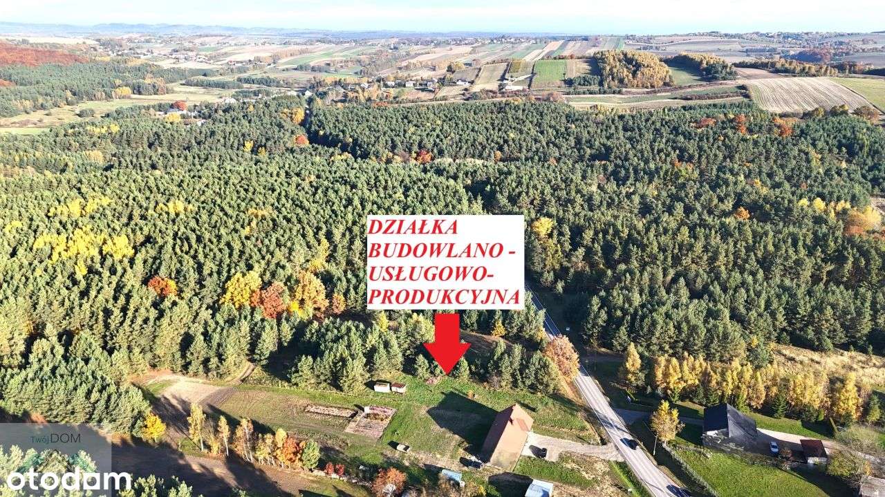 Działka budowlano usługowa gmina Trzyciąż - Pełny obrazek: 5/5