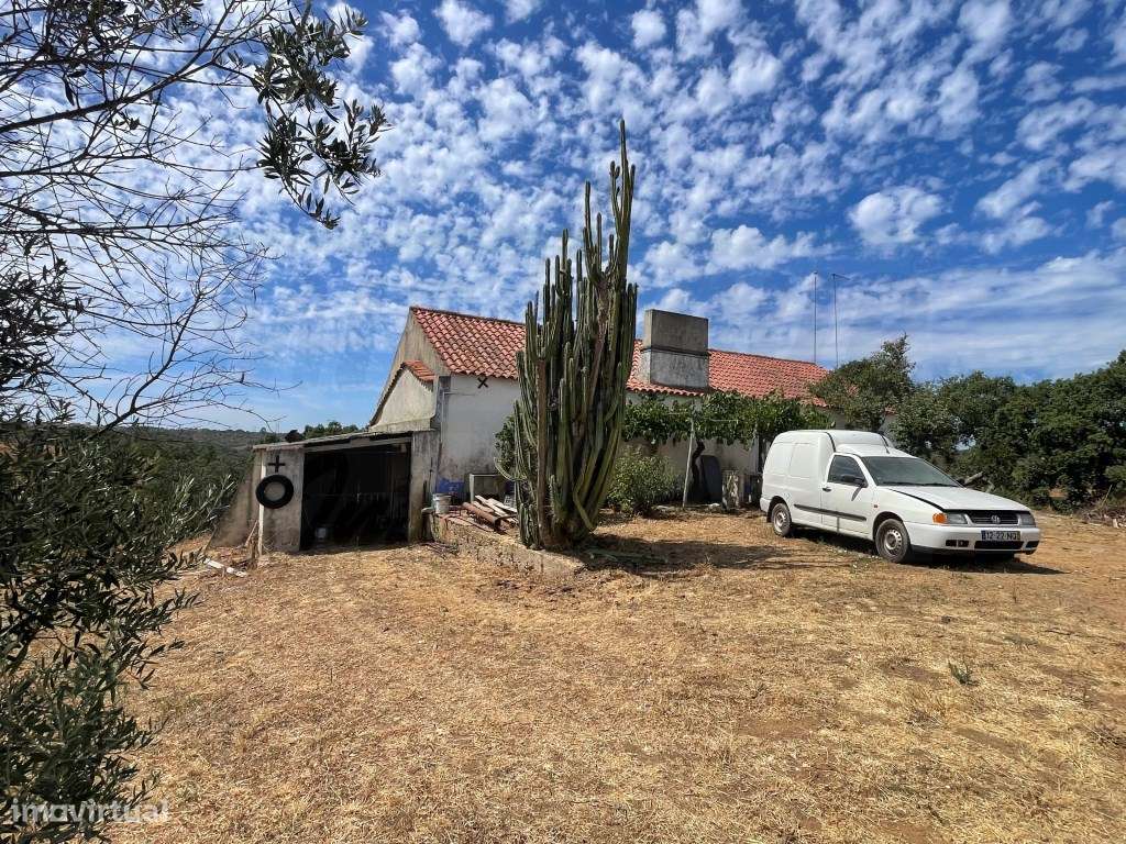 HERDADE COM 100 HECTARES E BASTANTE ARBORIZAÇÃO-26