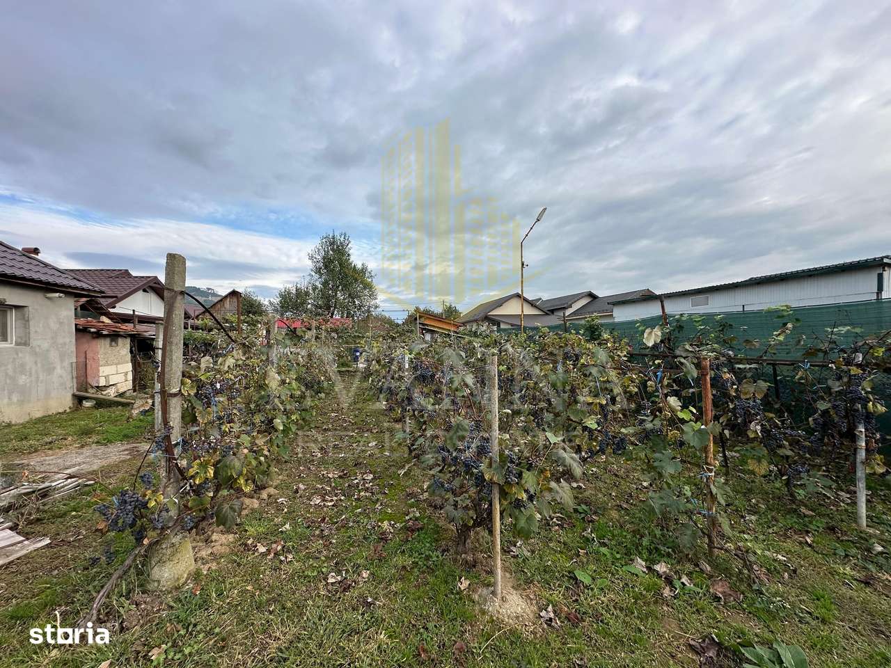 Casa de vanzare Seini-10