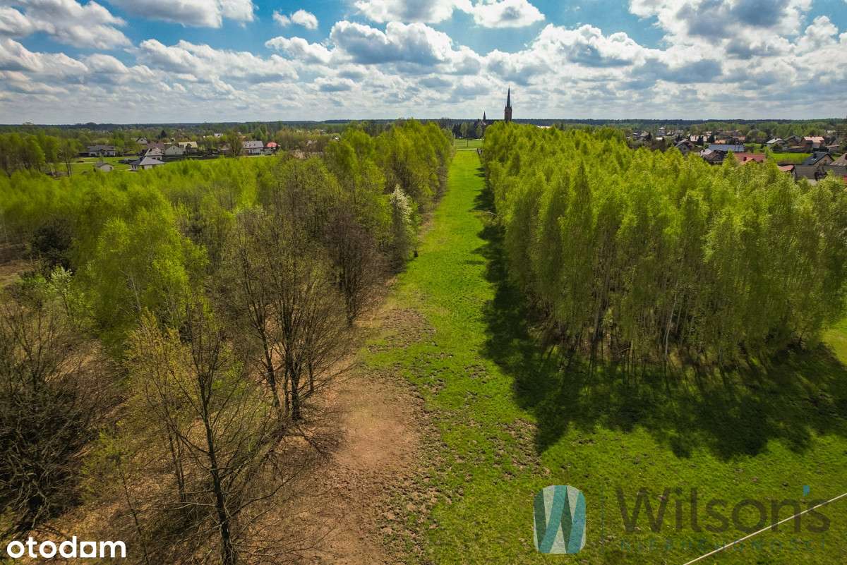 Dwie działki, warunki zabudowy; 40 km od Warszawy - Pełny obrazek: 4/10