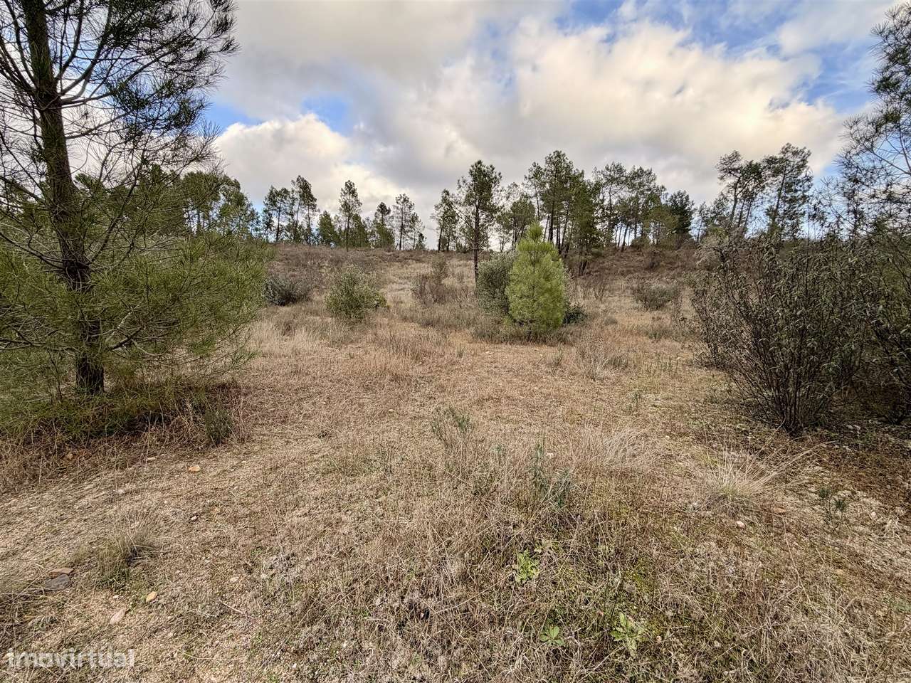 Quinta T0 Venda em Sarzedas,Castelo Branco-18