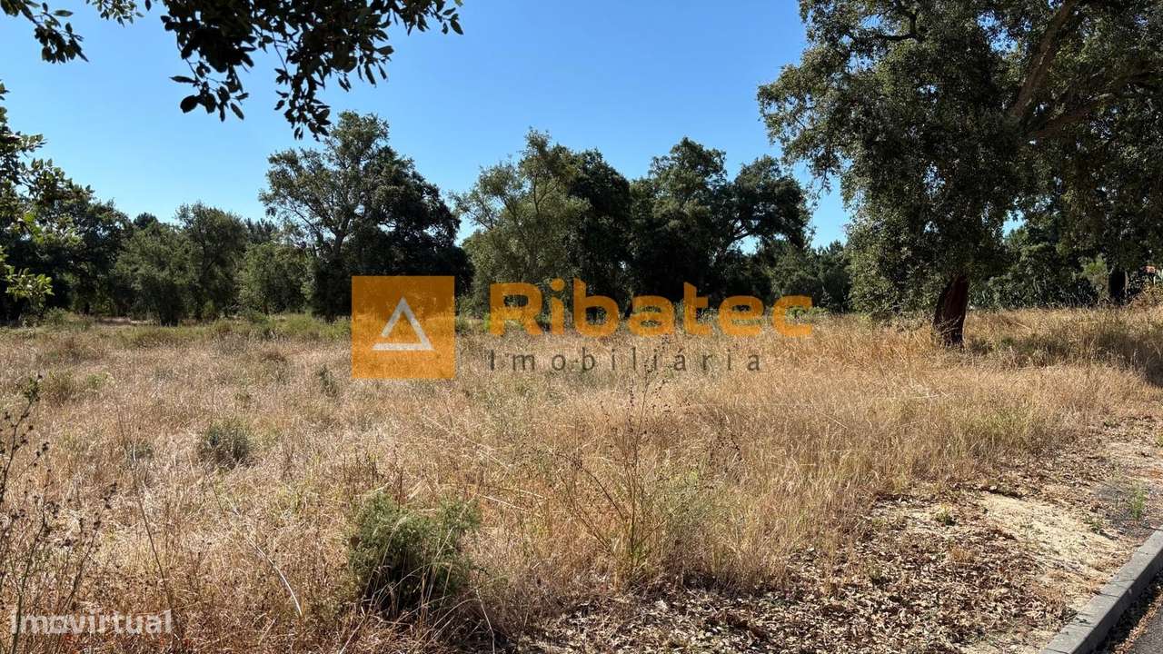 Terreno  Venda em Coruche, Fajarda e Erra,Coruche-7