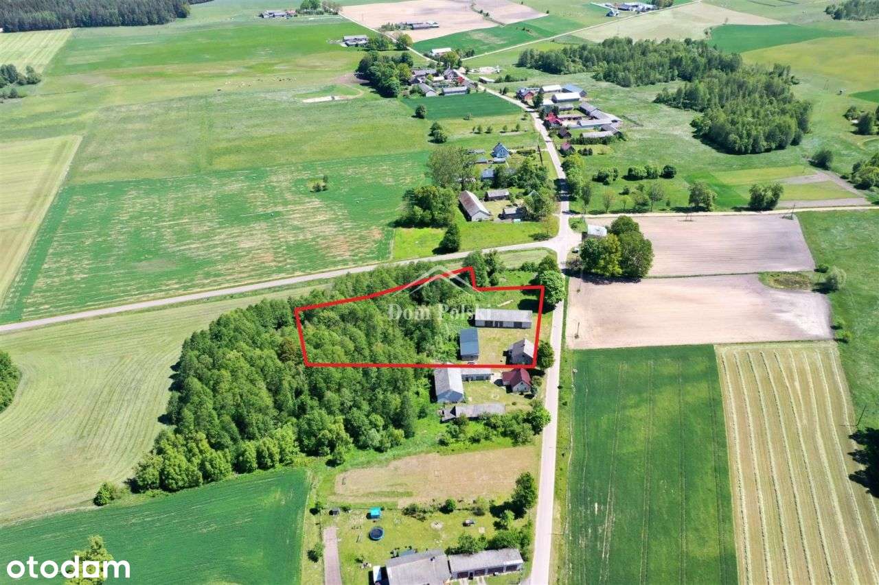 Siedlisko 0,5 ha na Suwalszczyźnie, Nieszki :) - Pełny obrazek: 4/20