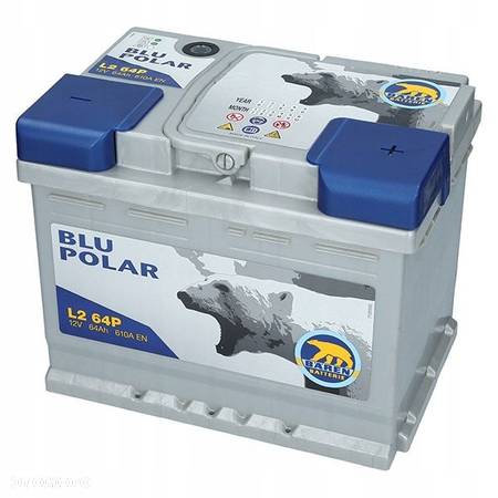 Akumulator Baren Blu Polar 12V 64Ah 610A P - 5