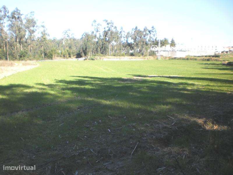 Terreno para construção de 23.000€ em Gião - Vila do Conde - Grande imagem: 1/3
