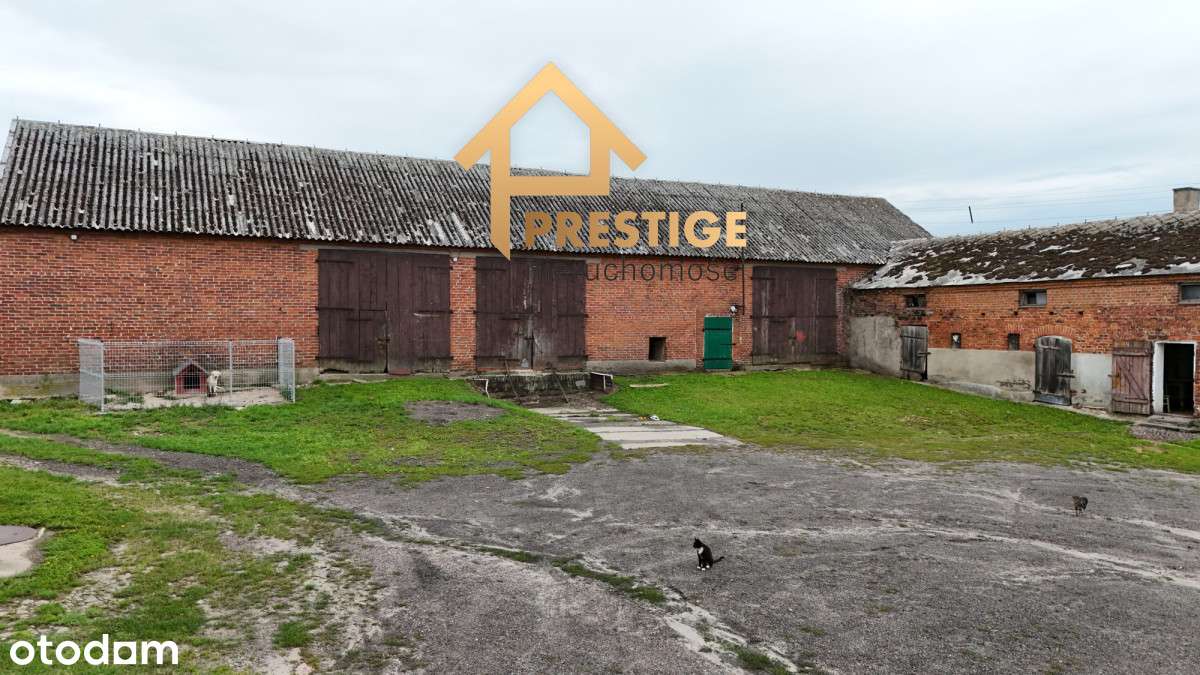 Na sprzedaż gospodarstwo rolne 12,67ha gm.Sompolno - Pełny obrazek: 4/17