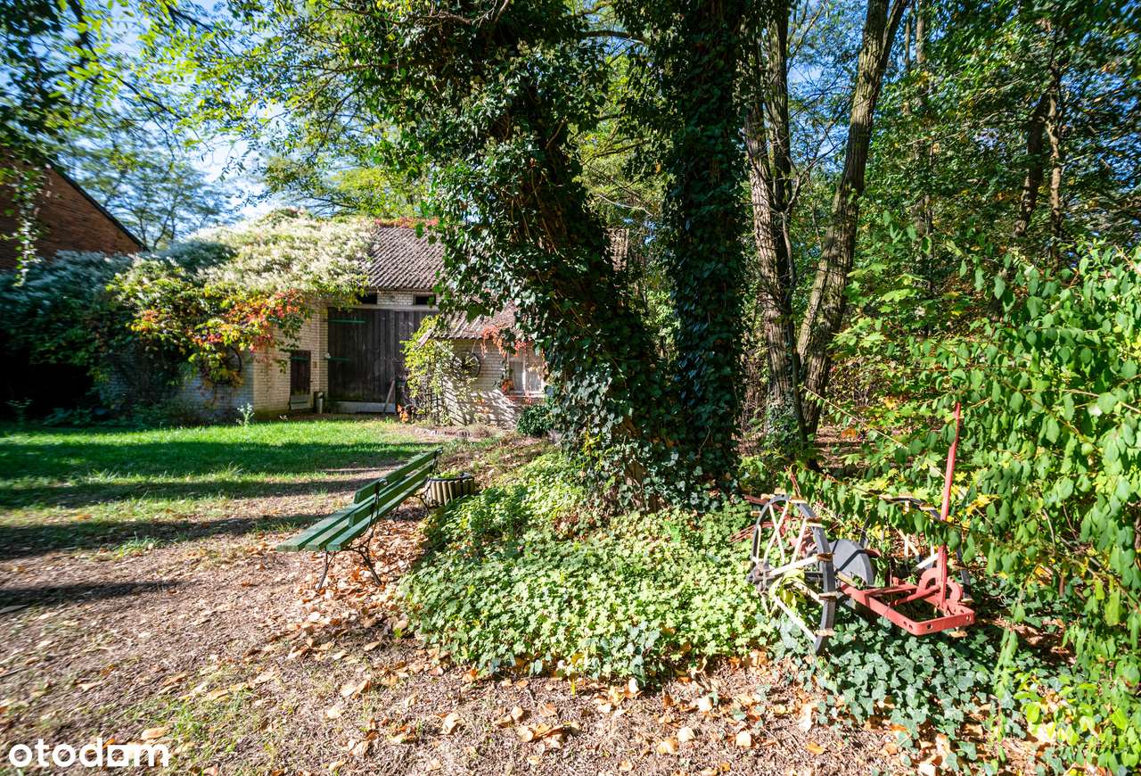 Malownicze siedlisko pod Łowiczem-15