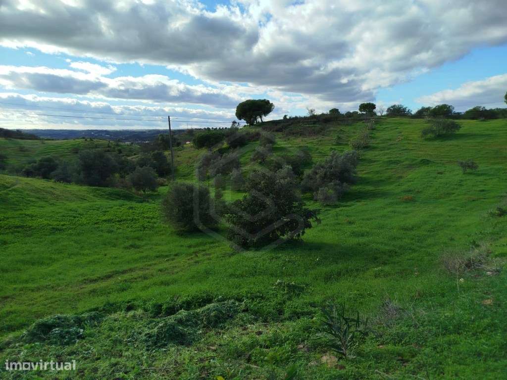 Terreno Rústico com vista mar em Castro Marim, Algarve - Grande imagem: 4/9