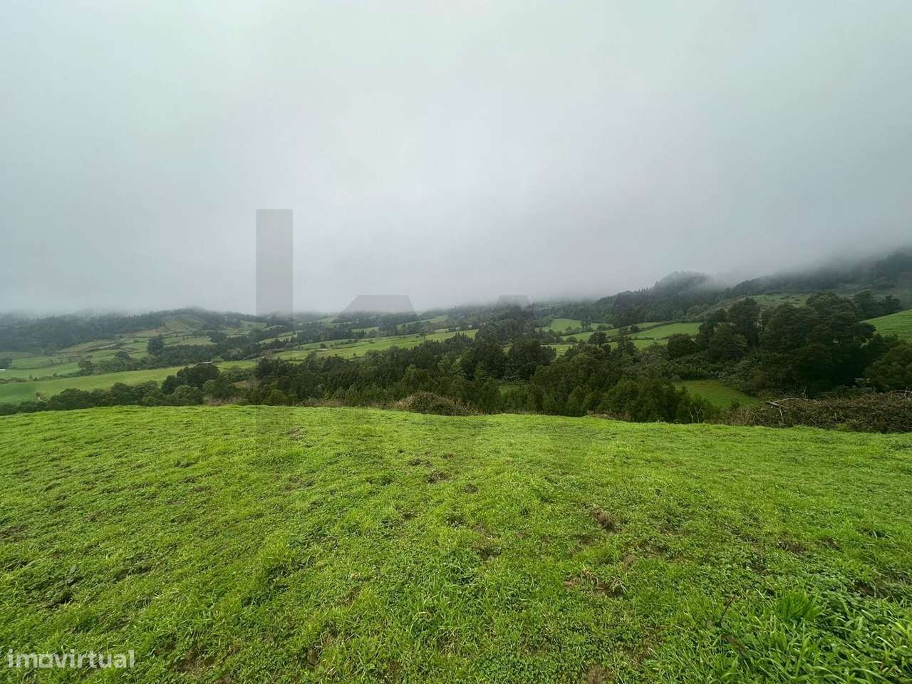 Terreno com 33.345m2 em Lomba do Pomar - Grande imagem: 5/16