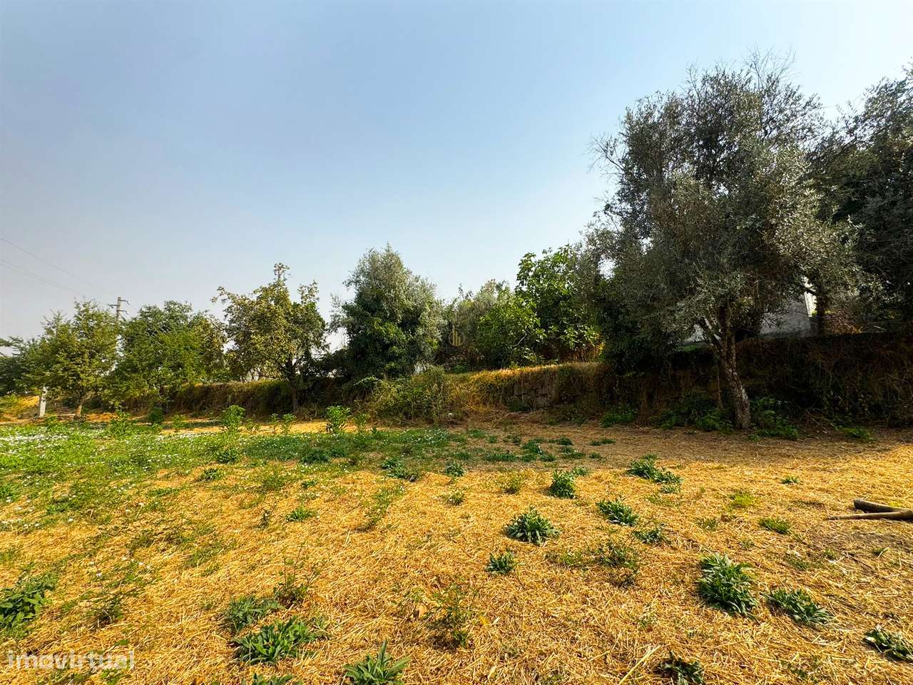 Terreno Rústico  Venda em Repeses e São Salvador,Viseu - Grande imagem: 4/6