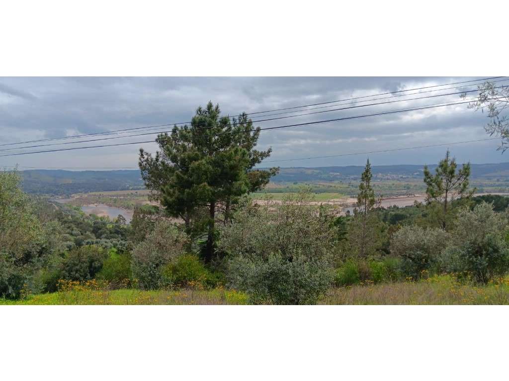 Terreno Rústico com Potencial de Construção I Vista para o Rio - 5.... - Grande imagem: 2/13