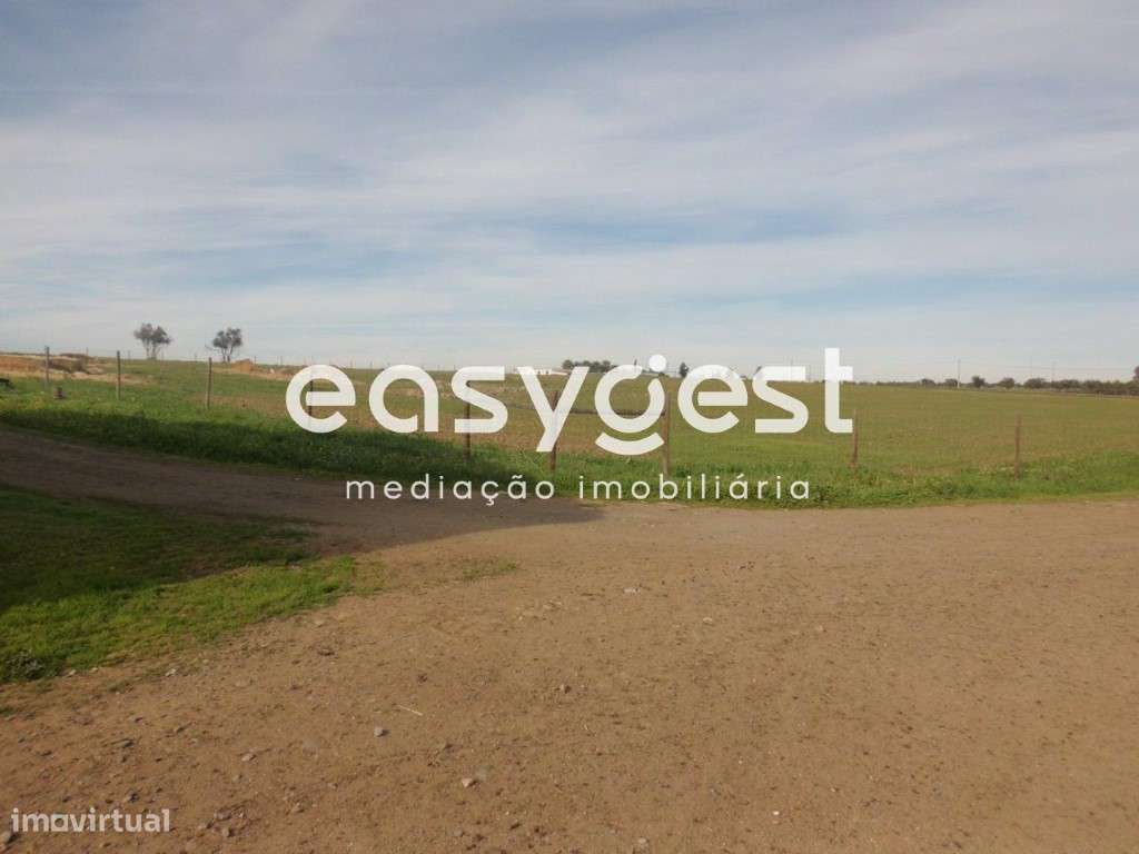 Terreno rústico em Cuba no perímetro de rega do Alqueva - Grande imagem: 4/7