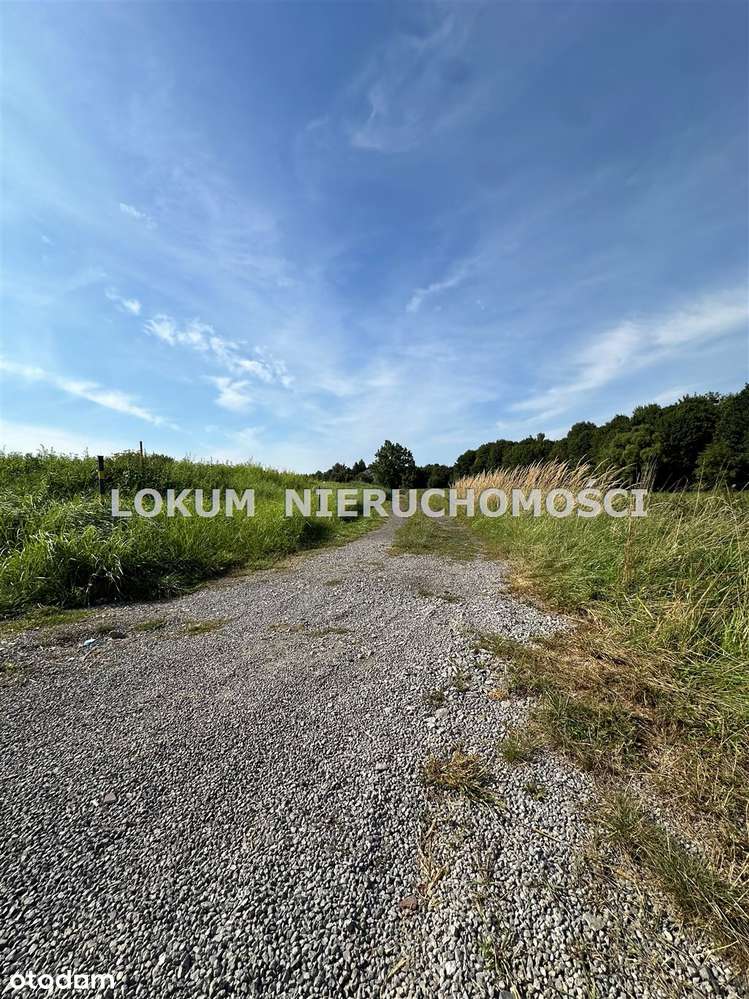 Działka rolna Zebrzydowice - Pełny obrazek: 4/4