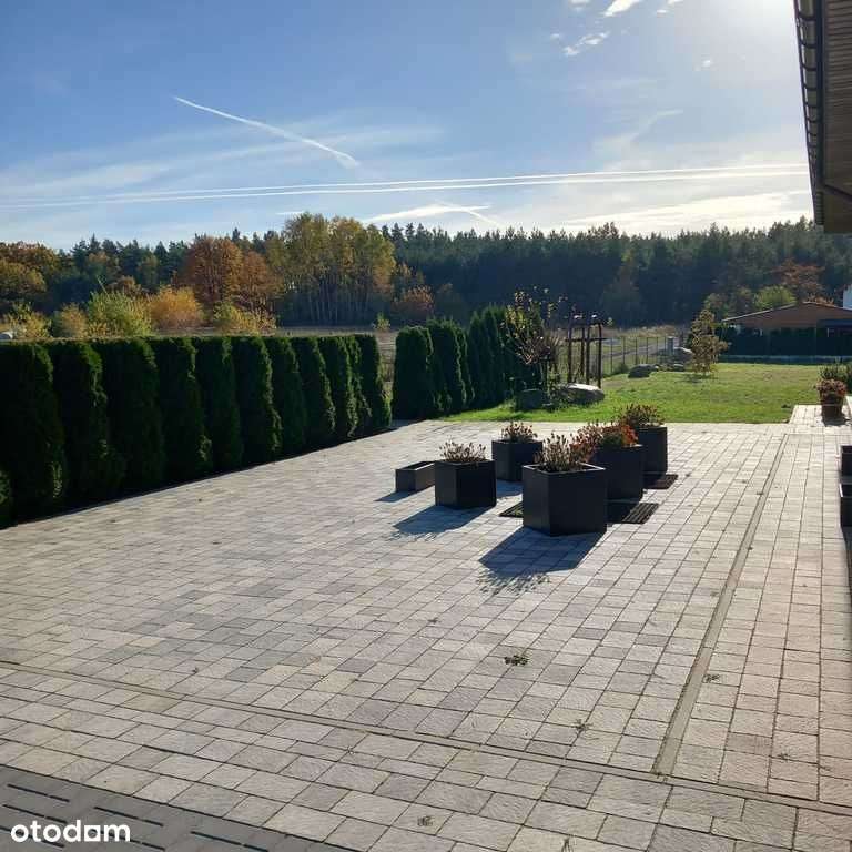 Dom w pobliżu lasu-niskie koszty utrzymania-9