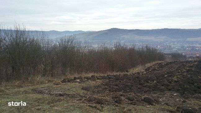 ID 9459: Teren 5.100 mp - Lechinta, Bistrita Nasaud - Imagine principală: 3/13