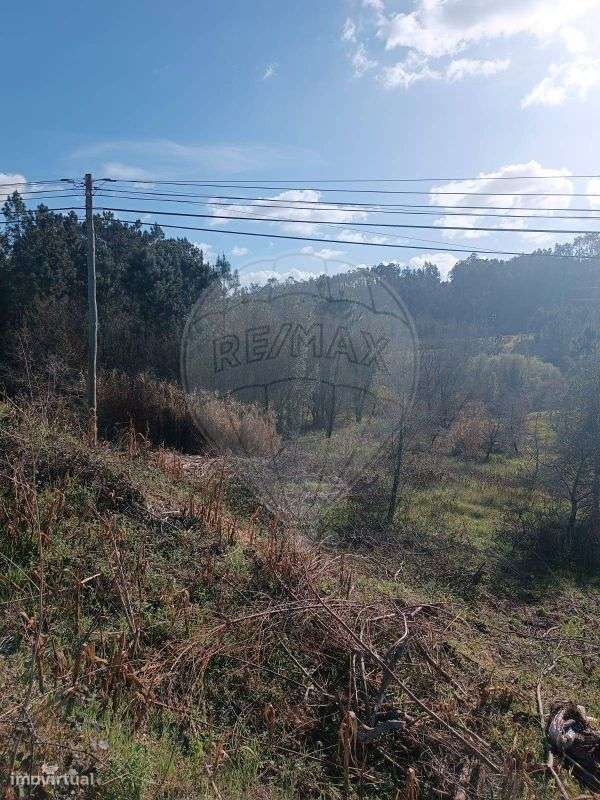 Terreno  para venda - Grande imagem: 2/5