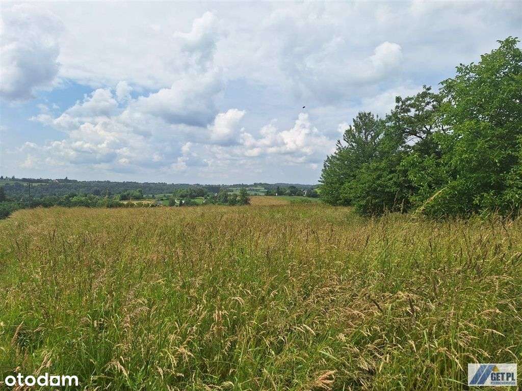 Działka budowlano-usługowa koło Krakowa - Pełny obrazek: 4/12