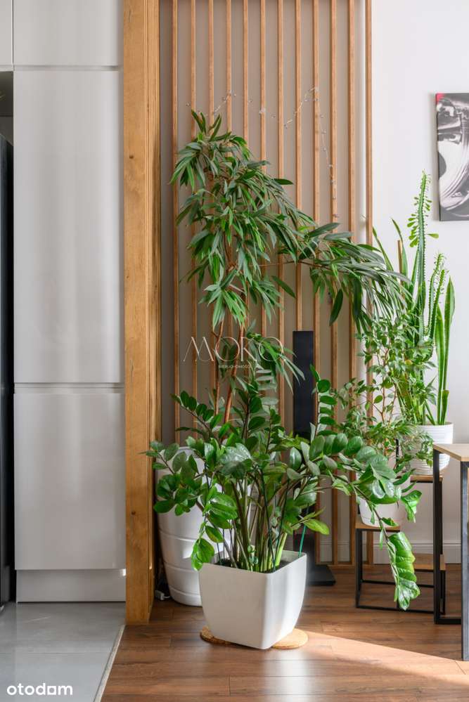 Mieszkanie 86 m² z loggią – Wola, Jana Kazimierza-4