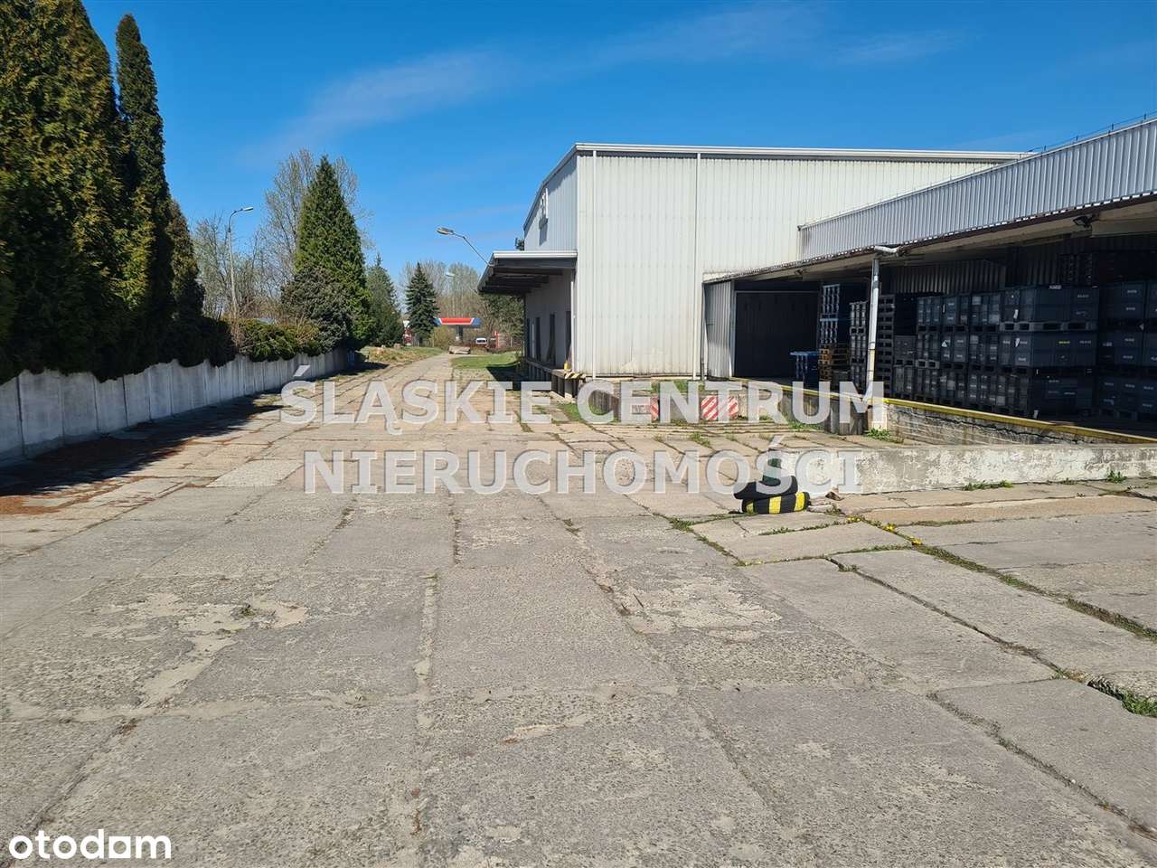 Hale/biurowiec/pawilon z parkingiem - Pełny obrazek: 5/20