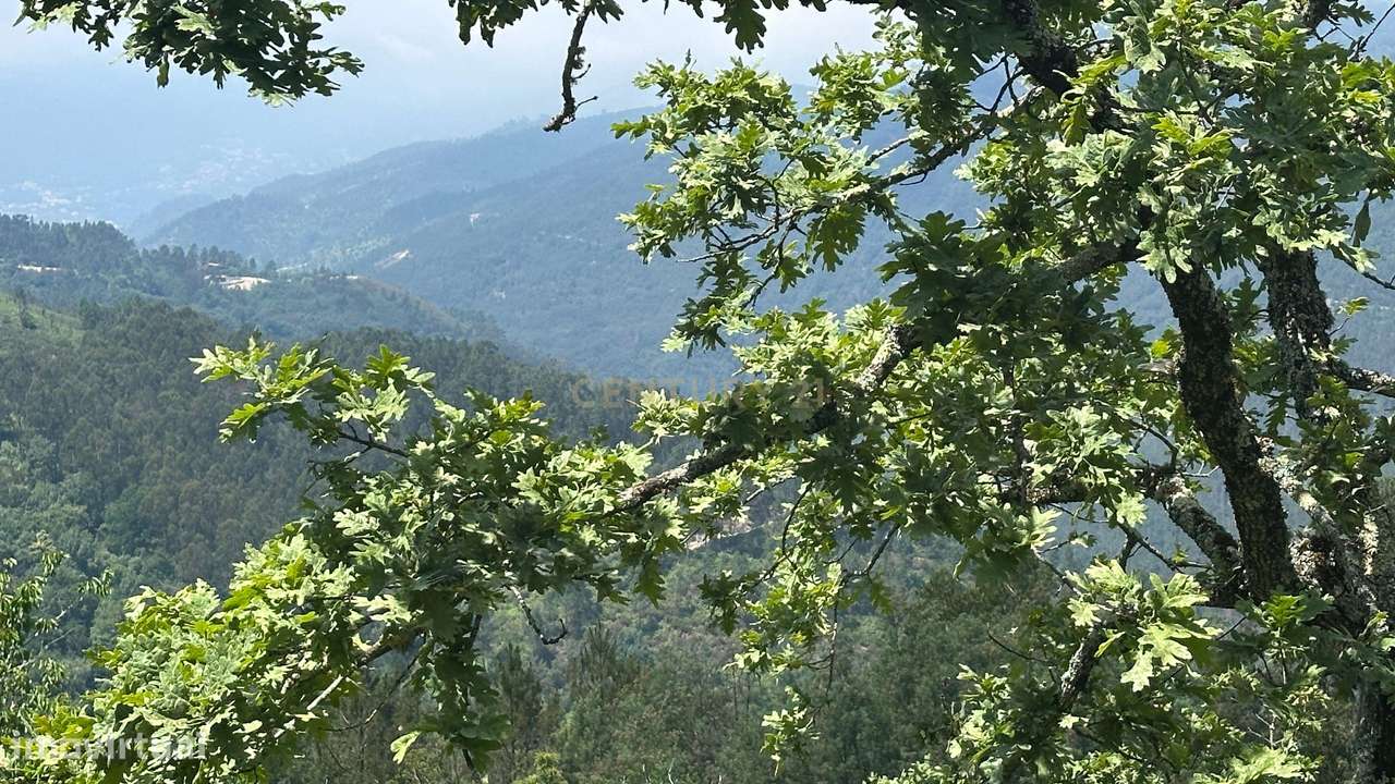 O Refúgio Perfeito no Topo do Gerês: Onde o Silêncio Encontra a Imens-5