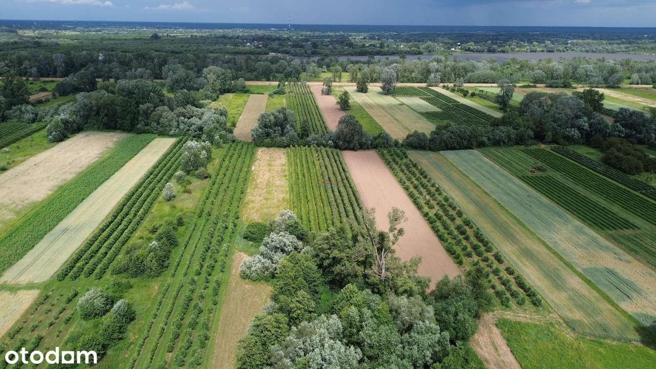 Działka, 44100.0 m², Dębówka - Pełny obrazek: 4/5