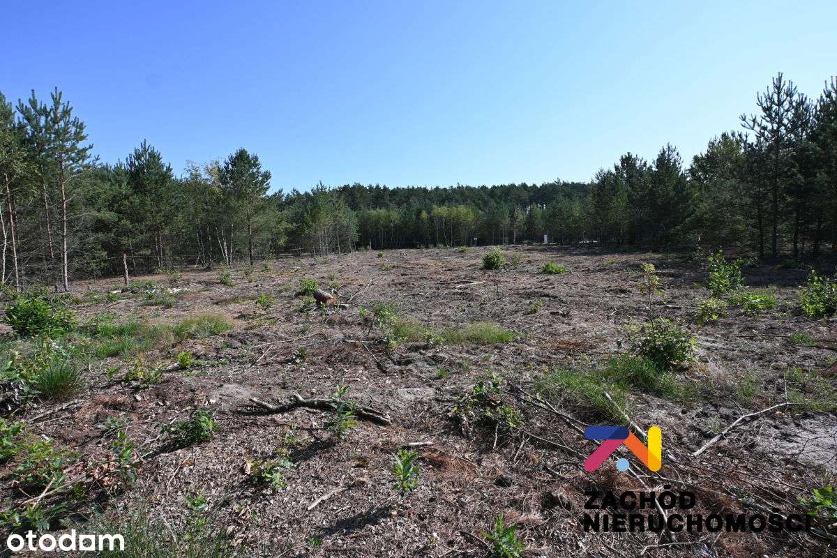 Działka z Wz w Kaczenicach na sprzedaż!!! - Pełny obrazek: 2/5