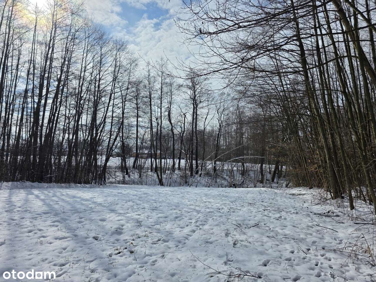 Działka 19 arów – idealna na rekreację | Wójtowa-5