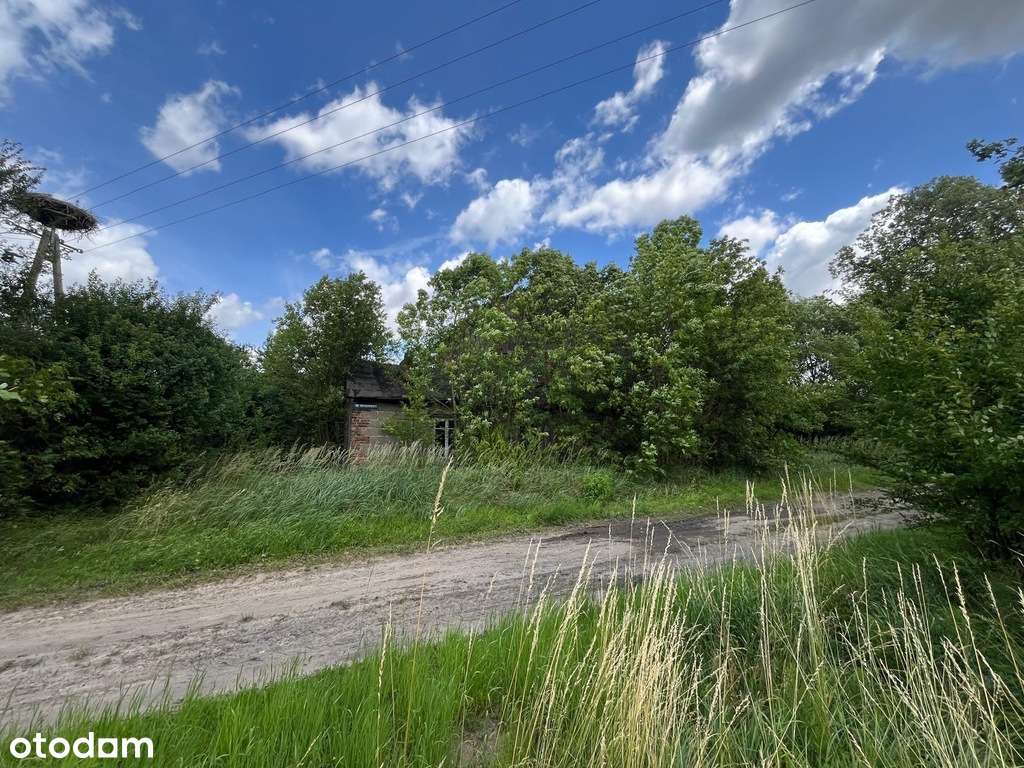 Sprzedam działkę 2400m2 Platerów - Pełny obrazek: 5/7