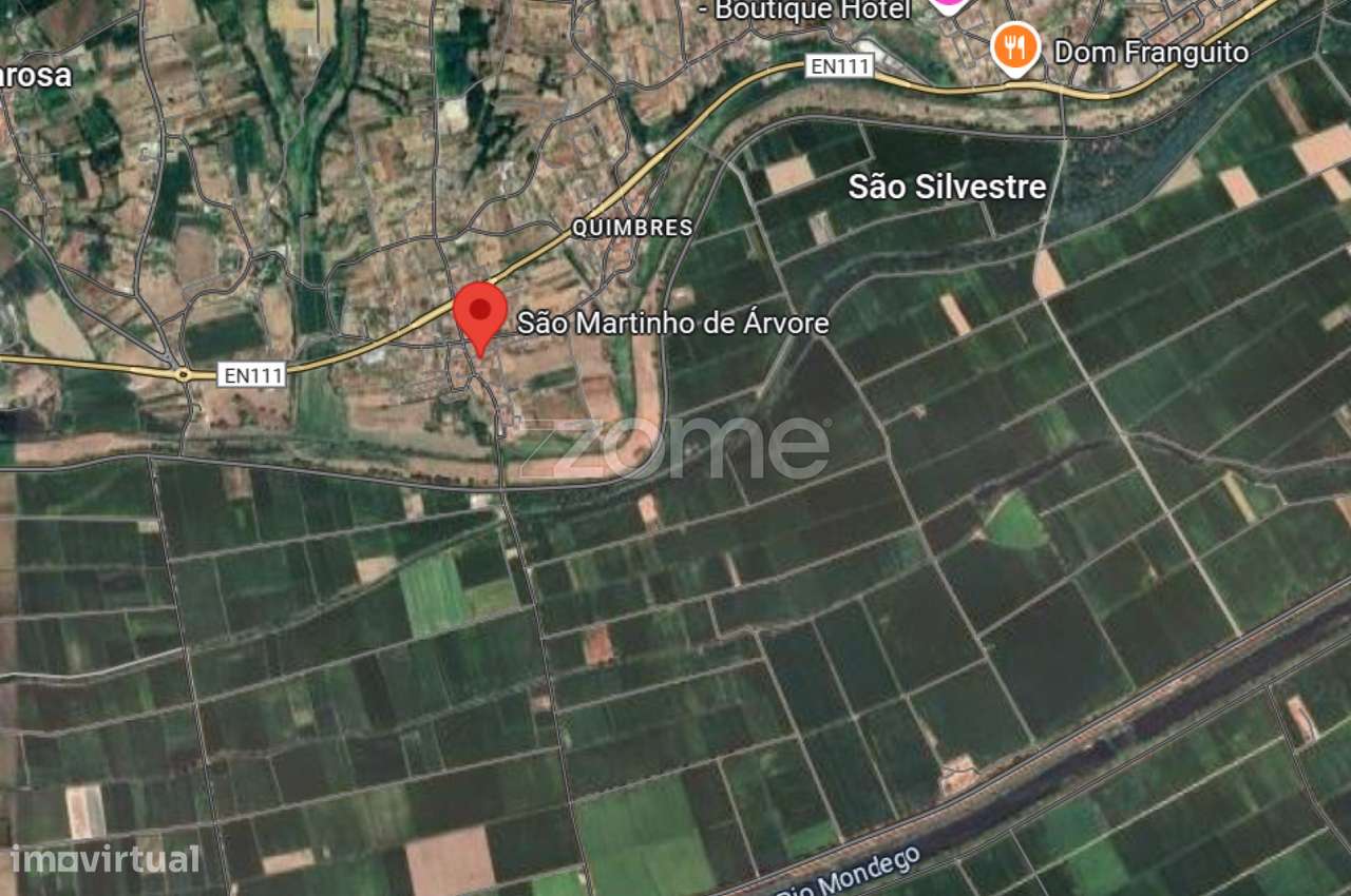 Oportunidade de Recuperação em São Martinho da Árvore-16