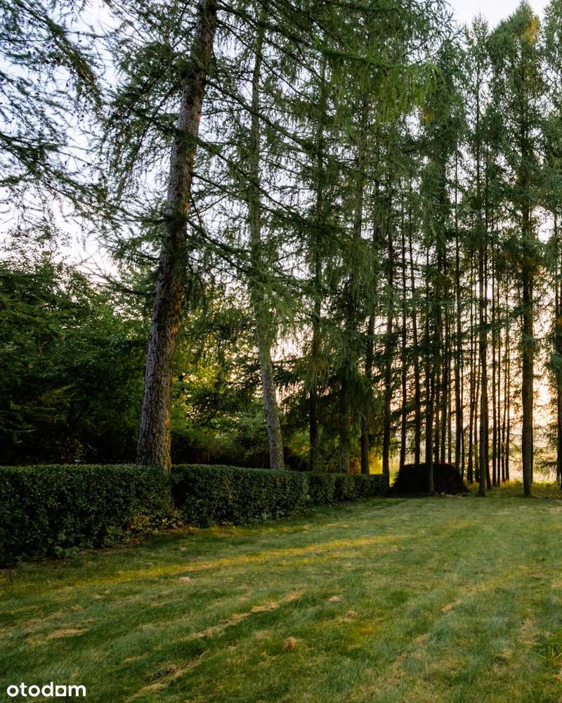 1,11 ha - Więcławice Dworskie, gm. Michałowice - budowlano-rolna-7