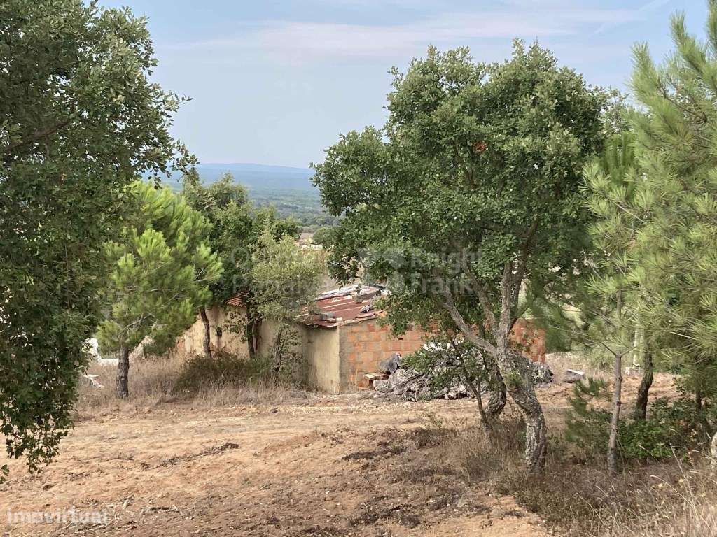 Monte com 4,7 hectares pip aprovado para habitação 500 m2 em Melide... - Grande imagem: 5/21