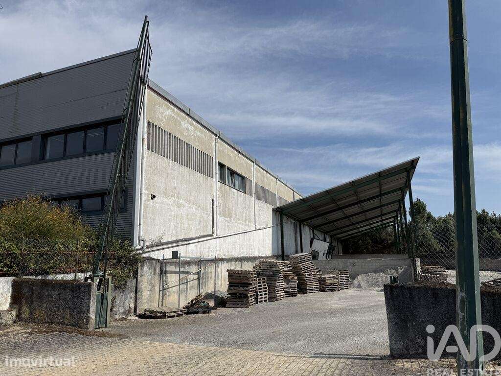 Loja / Estabelecimento Comercial em Constantim e Vale de Nogueiras de - Grande imagem: 3/30