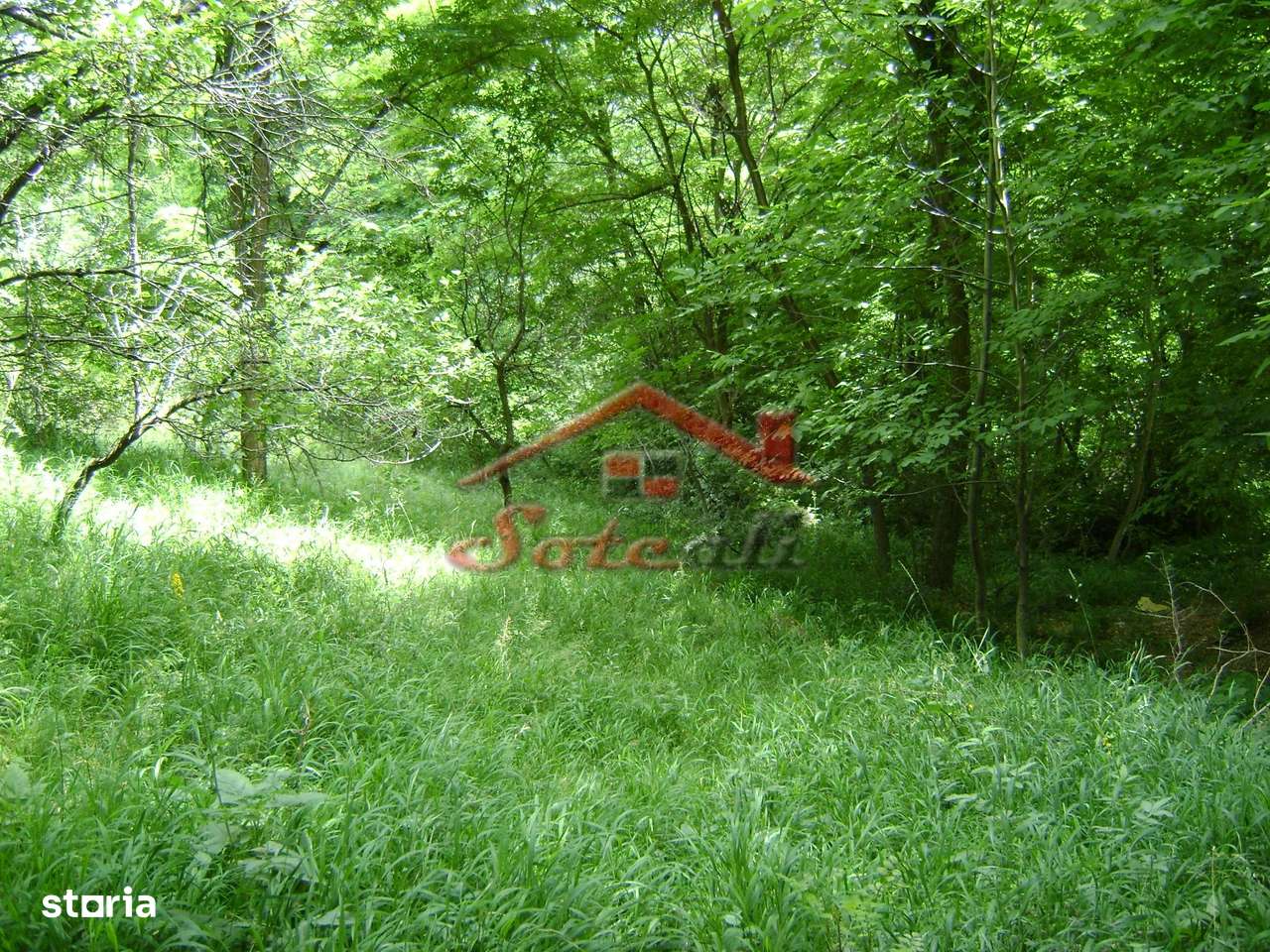 Teren de vanzare Cornu 3074 mp-0