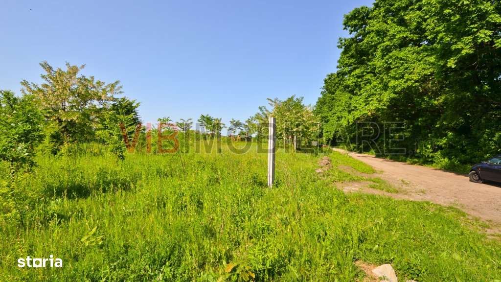 Teren intravilan situat in zona Padurea Baneasa - Imagine principală: 4/4