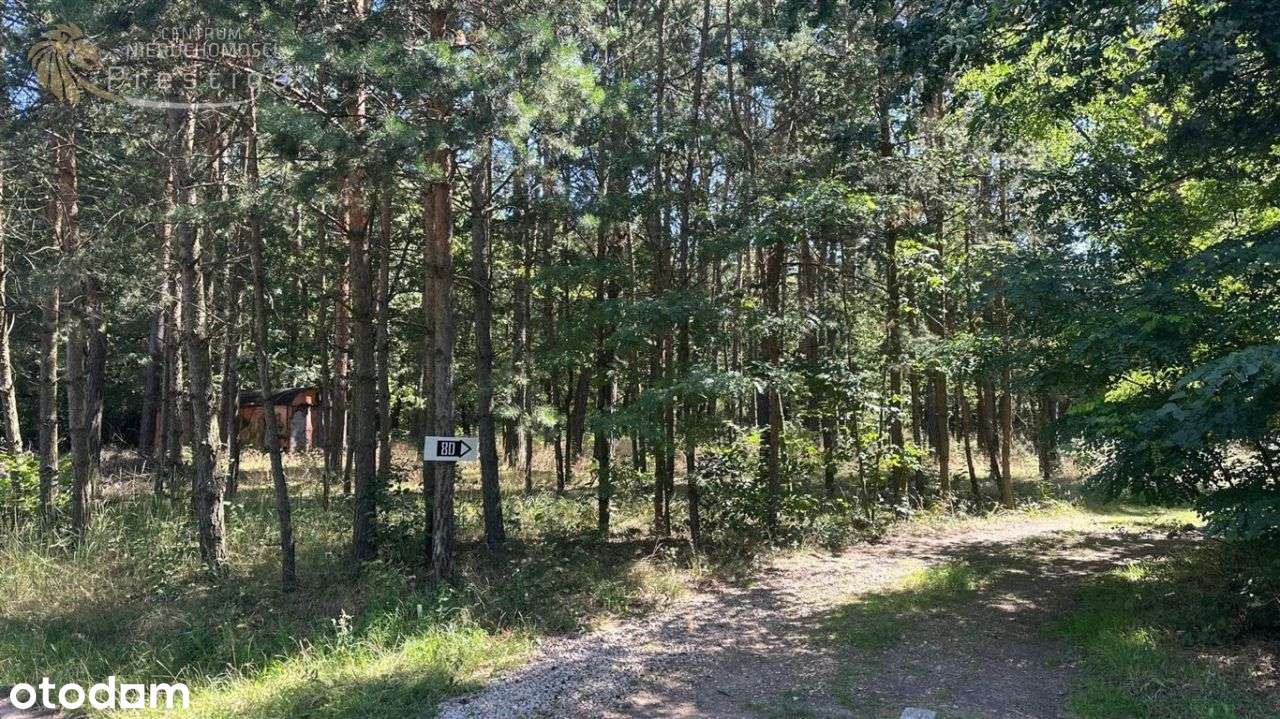 2 działki budowlane z mediami – Woźniki - Pełny obrazek: 4/4