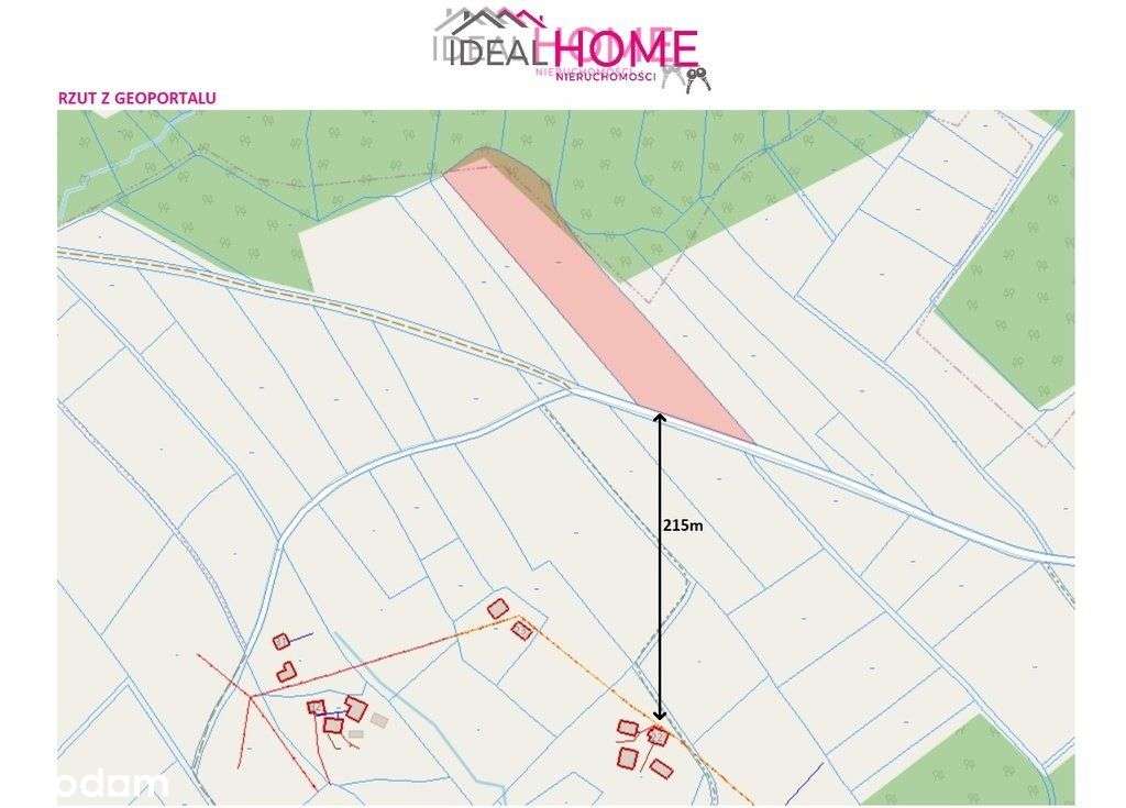 Działka na sprzedaż - Brzeziny 1,12 ha - Pełny obrazek: 4/12