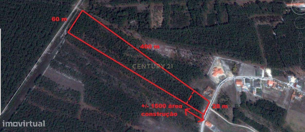 Terreno T1 16863,00 m2 - Grande imagem: 3/3